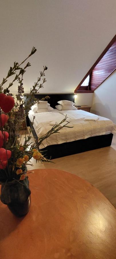 Forras Fogado Bed & Breakfast Bukkszek Exterior photo