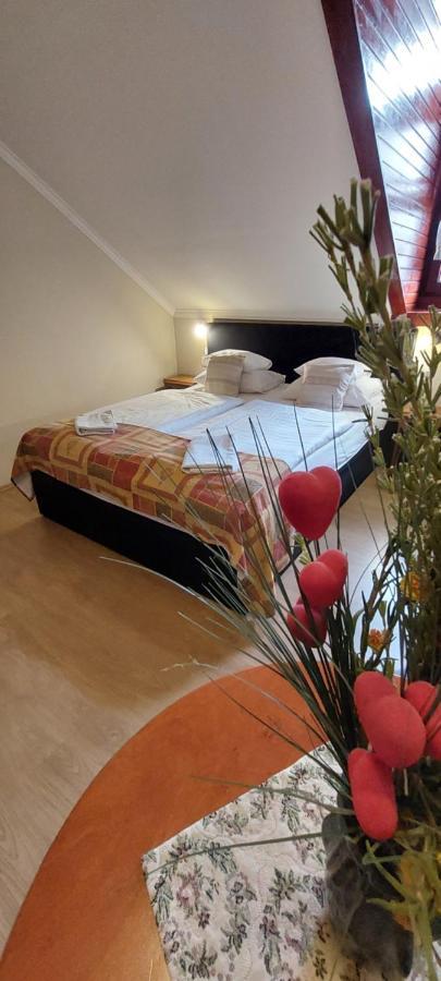 Forras Fogado Bed & Breakfast Bukkszek Exterior photo