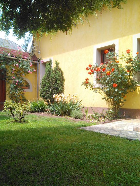 Forras Fogado Bed & Breakfast Bukkszek Exterior photo